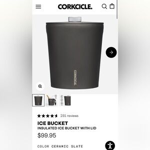 Corkcicle ice bucket
